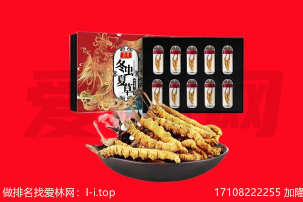 平果市回收虫草.jpg